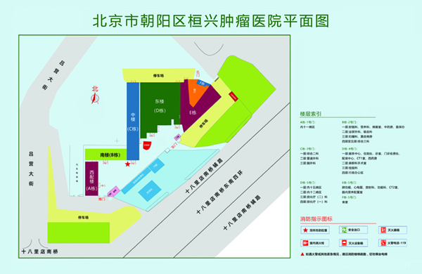 日白泶视频北京市朝阳区桓兴肿瘤医院平面图